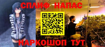 мдпв Нальчик