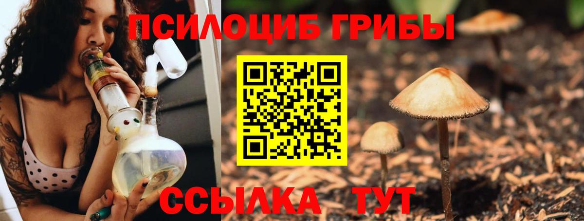 Псилоцибиновые грибы Psilocybine cubensis  купить закладку  Шарыпово  Псилоцибиновые грибы мицелий  Вход с VPN 